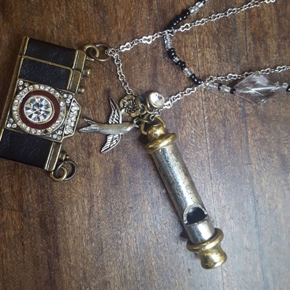 Camera and whistle necklace